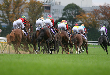 セカンドオピニオン