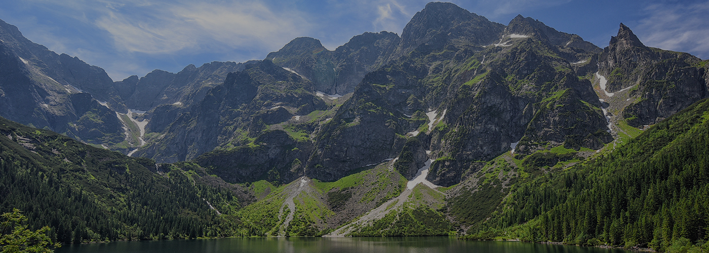 世界最大のプロフェッショナルファームで培った
                知識、経験、ネットワークを武器にお客様の会社を元気に、幸せにします。